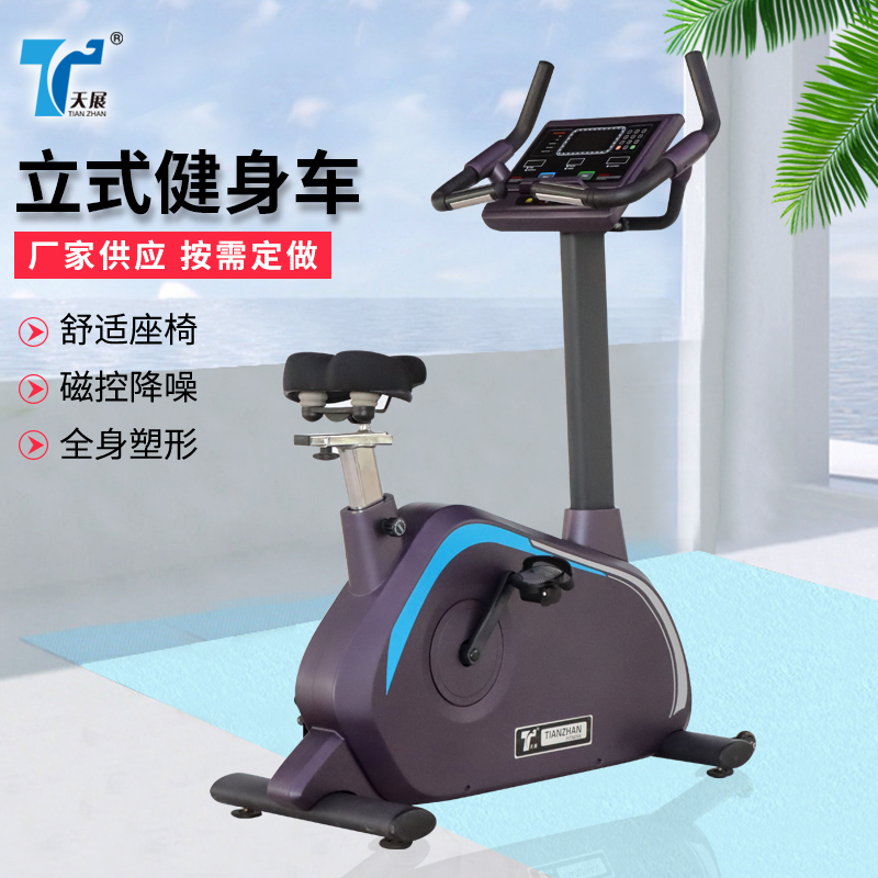tz-2030商用立式车 